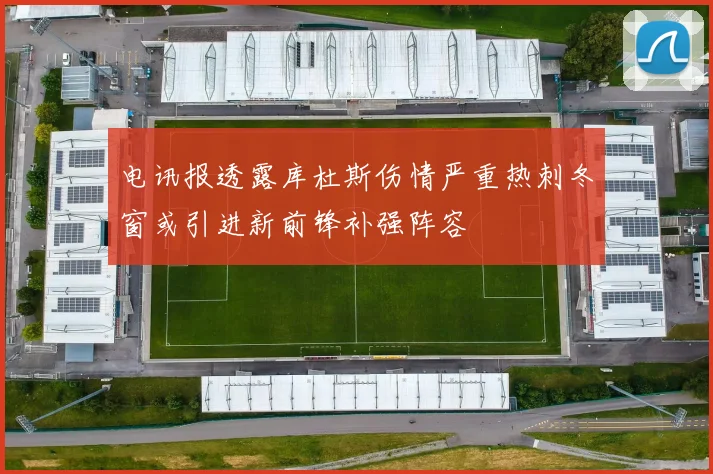 电讯报透露库杜斯伤情严重热刺冬窗或引进新前锋补强阵容