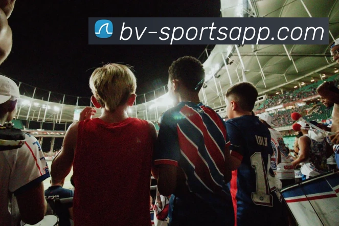 宝威体育APP 封面图